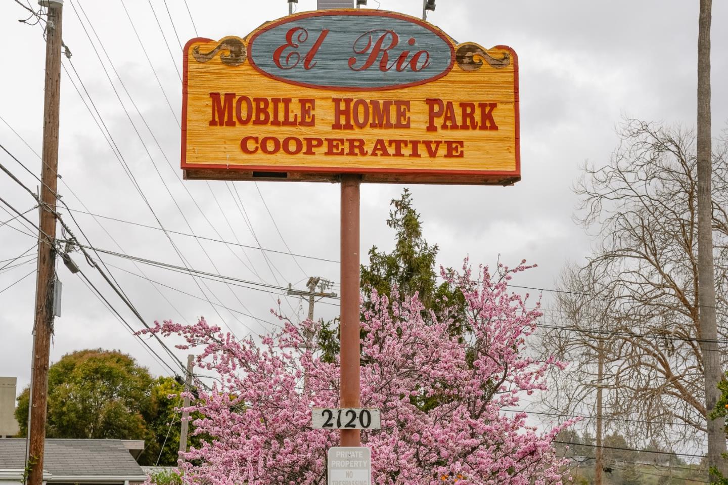 Detail Gallery Image 15 of 16 For 2120 North Pacific #25,  Santa Cruz,  CA 95060 - 1 Beds | 1 Baths