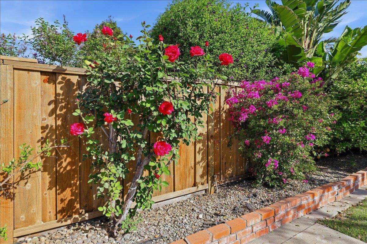 Detail Gallery Image 48 of 57 For 6190 Bellhaven Pl, Newark,  CA 94560 - 3 Beds | 2 Baths