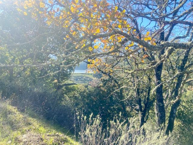 Detail Gallery Image 3 of 23 For 0 Cinnabar Hills Rd, San Jose,  CA 95120 - – Beds | – Baths