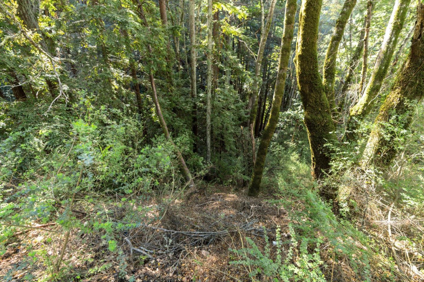 Detail Gallery Image 2 of 3 For 43 and 44 Buckeye St, Felton,  CA 95018 - – Beds | – Baths