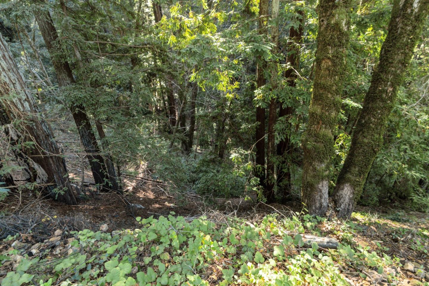 Detail Gallery Image 3 of 3 For 43 and 44 Buckeye St, Felton,  CA 95018 - – Beds | – Baths