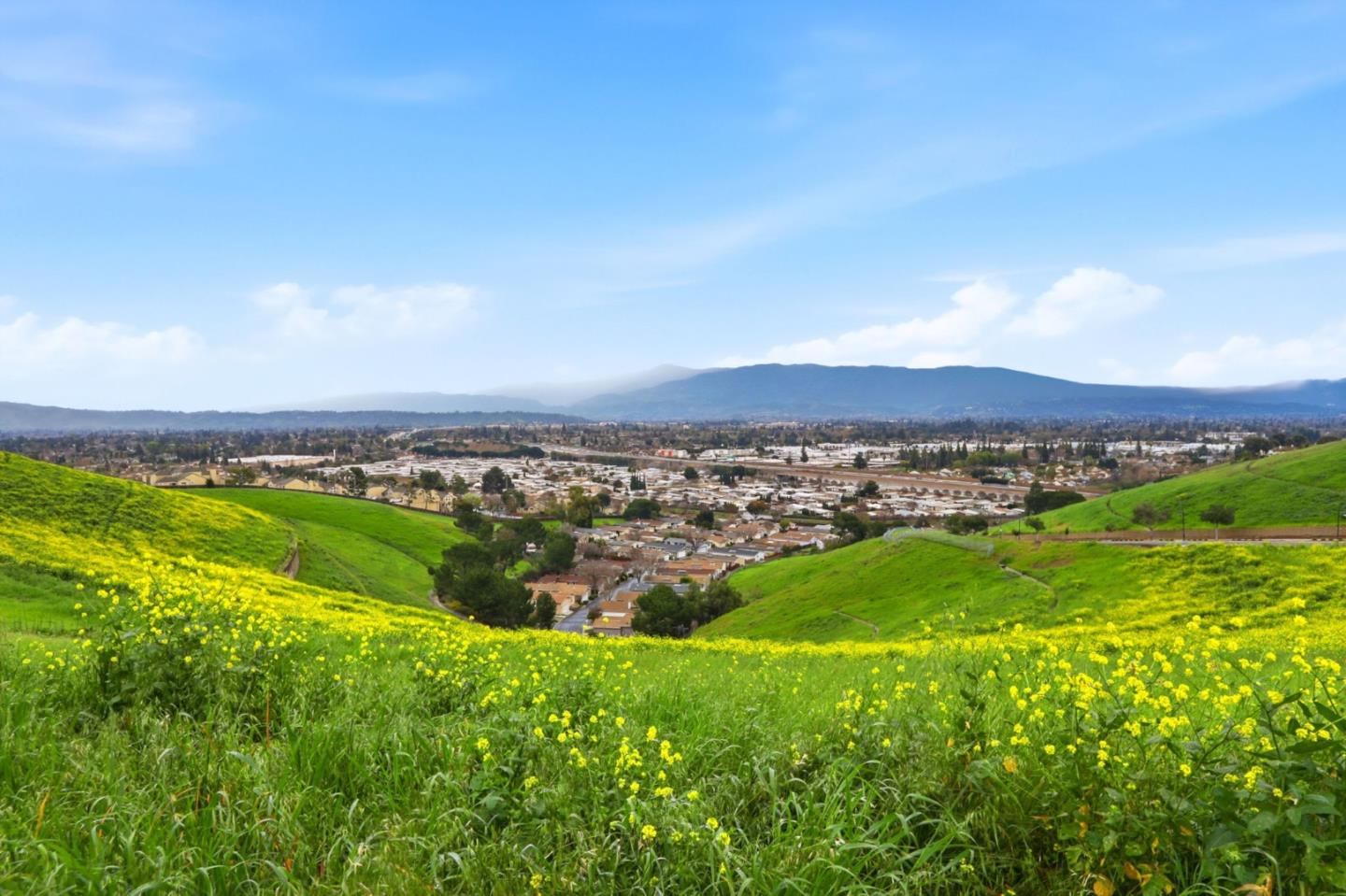 Detail Gallery Image 50 of 54 For 157 Llano De Los Robles Ave #4,  San Jose,  CA 95136 - 4 Beds | 3/1 Baths