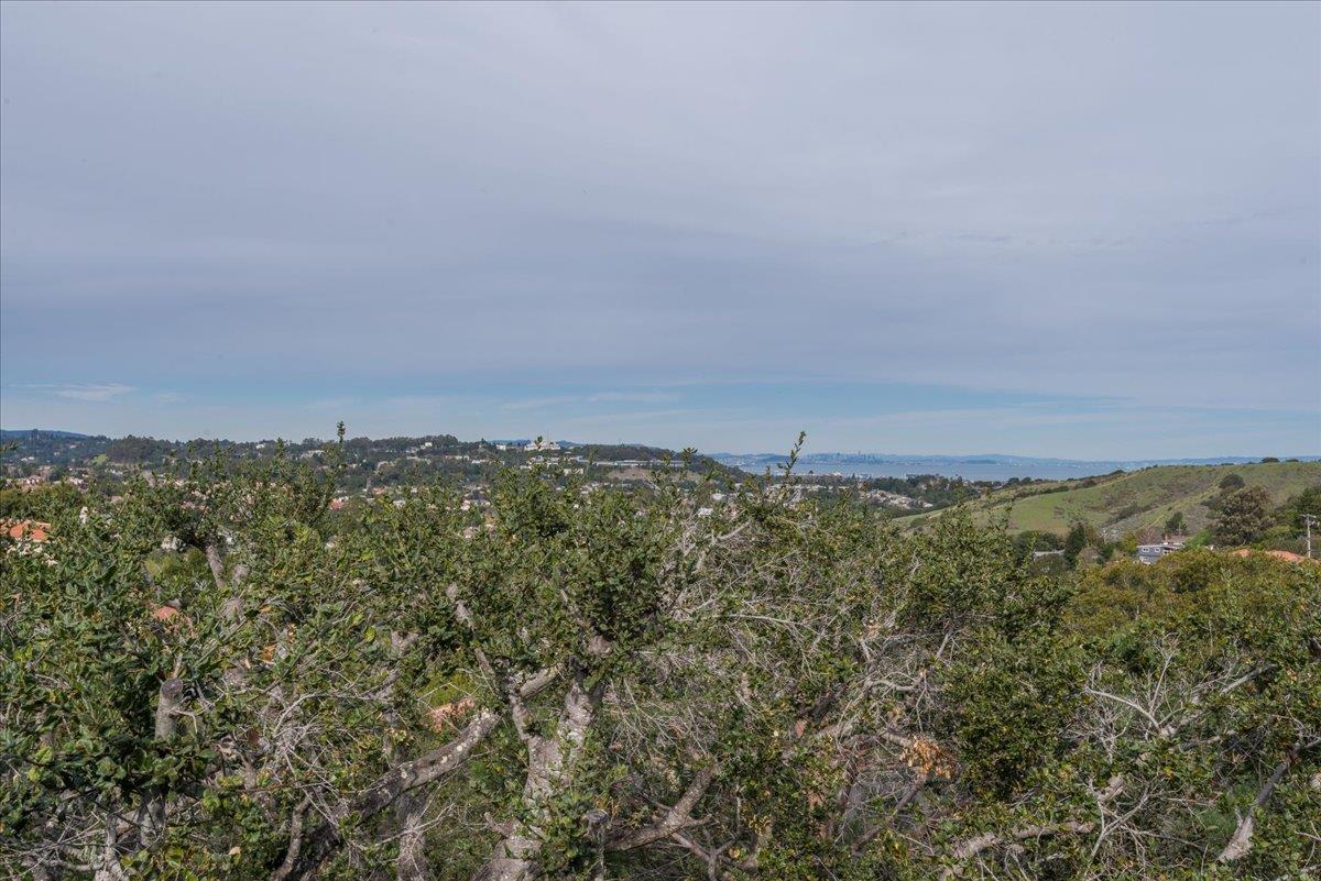 Detail Gallery Image 31 of 31 For 2758 Belmont Canyon Rd, Belmont,  CA 94002 - 3 Beds | 2/1 Baths