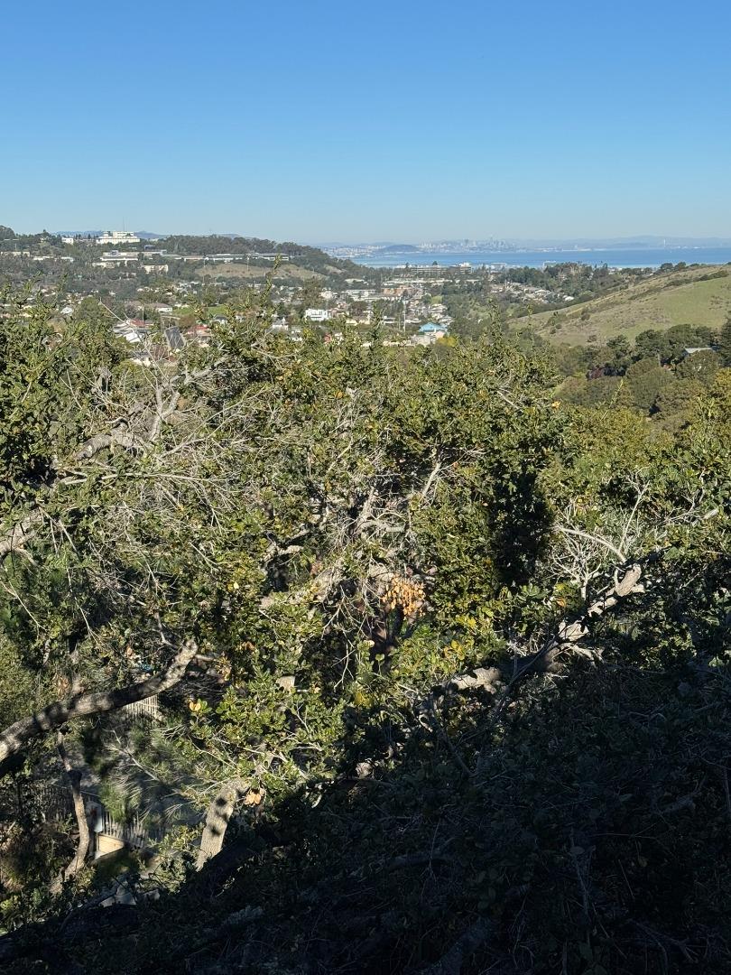 Detail Gallery Image 4 of 31 For 2758 Belmont Canyon Rd, Belmont,  CA 94002 - 3 Beds | 2/1 Baths