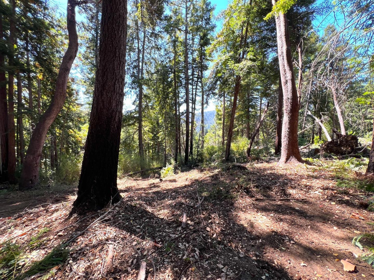 Detail Gallery Image 23 of 46 For 0 E Hilton Dr, Boulder Creek,  CA 95006 - – Beds | – Baths