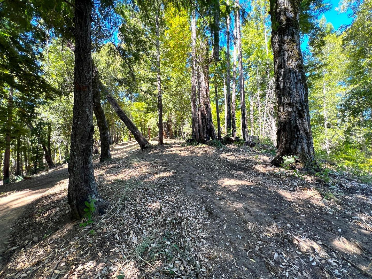 Detail Gallery Image 30 of 46 For 0 E Hilton Dr, Boulder Creek,  CA 95006 - – Beds | – Baths