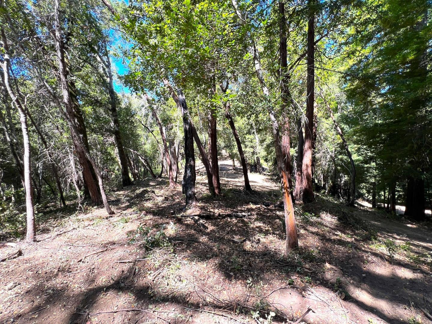 Detail Gallery Image 35 of 46 For 0 E Hilton Dr, Boulder Creek,  CA 95006 - – Beds | – Baths