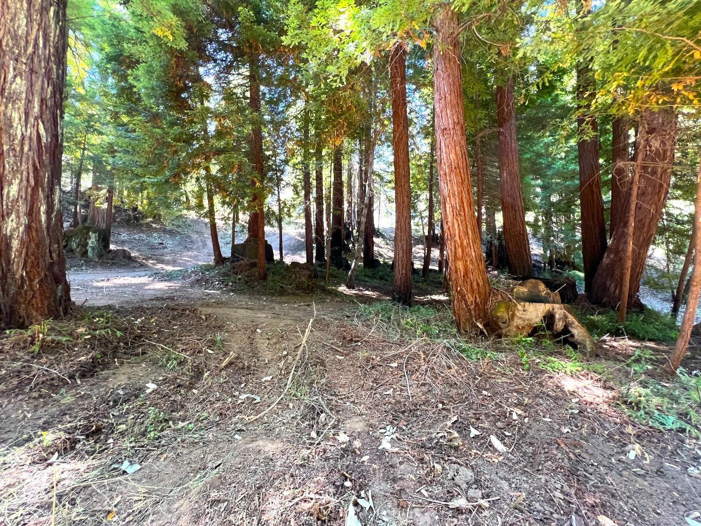 Detail Gallery Image 39 of 46 For 0 E Hilton Dr, Boulder Creek,  CA 95006 - – Beds | – Baths