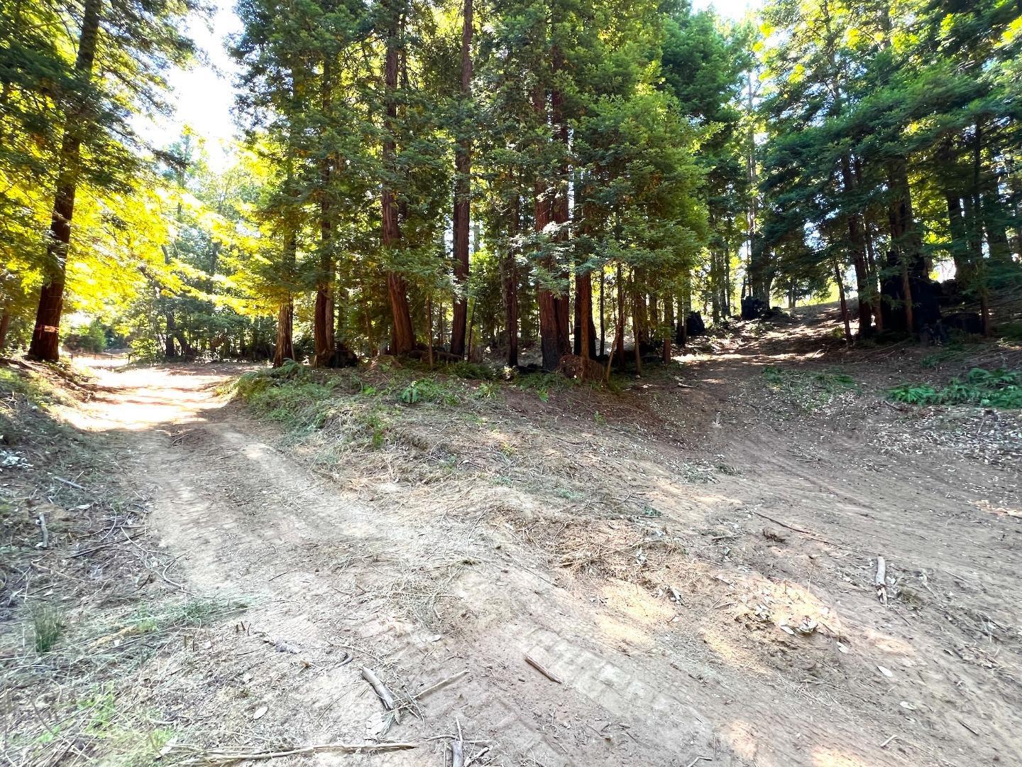 Detail Gallery Image 42 of 46 For 0 E Hilton Dr, Boulder Creek,  CA 95006 - – Beds | – Baths