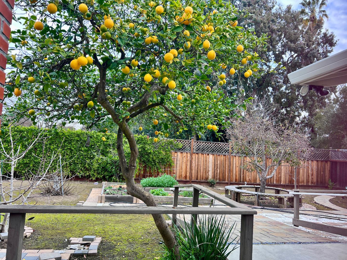 Detail Gallery Image 20 of 24 For 1874 Villa St, Mountain View,  CA 94041 - 7 Beds | 2/5 Baths