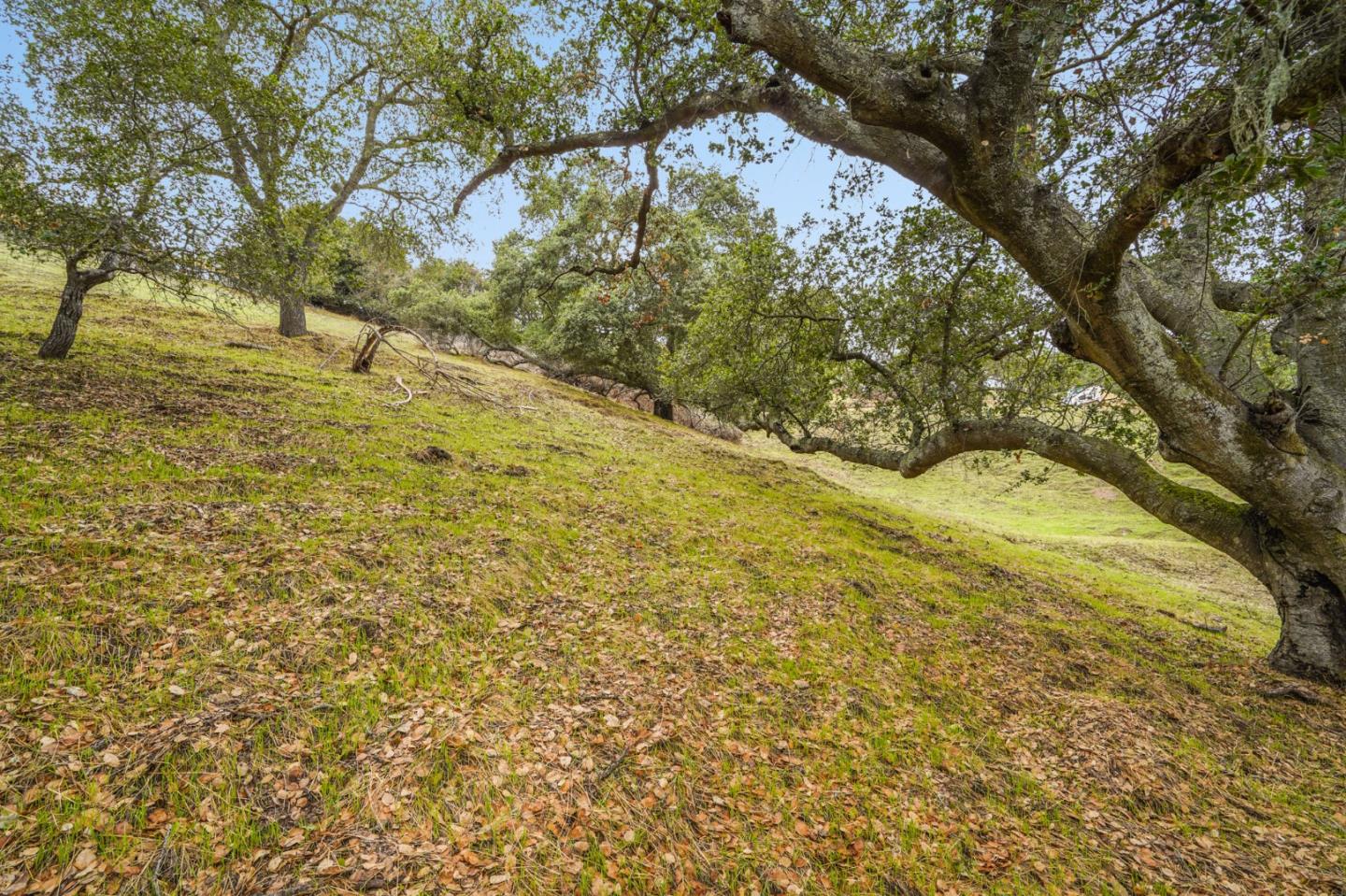 Detail Gallery Image 10 of 21 For 8951 Tea Tree Way, Gilroy,  CA 95020 - – Beds | – Baths