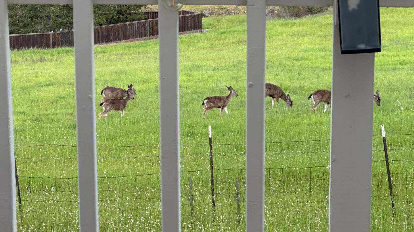 Photo #4: ML82034663 Listing: Photo #4