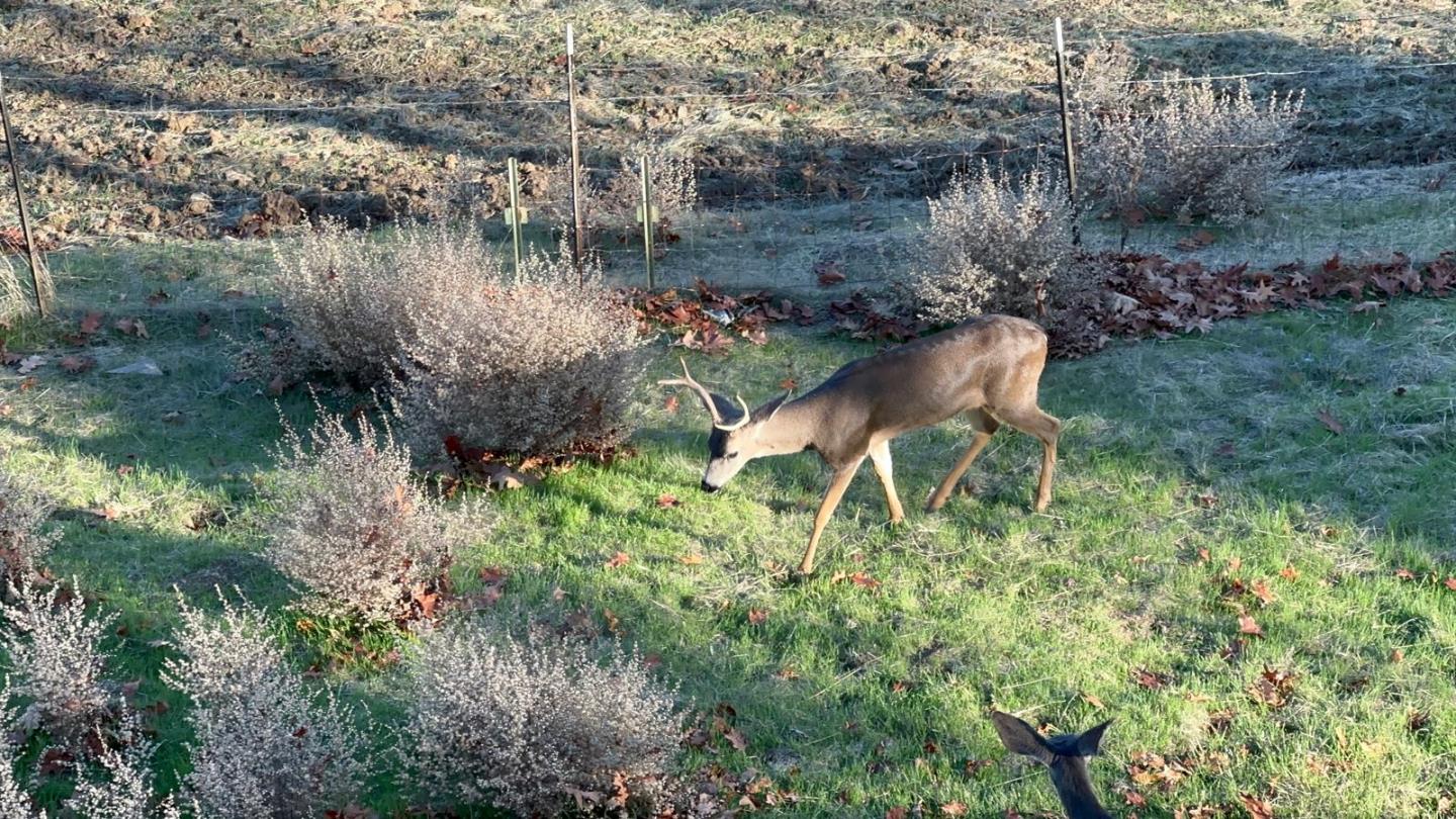 Photo #50: ML82034663 Listing: Photo #50