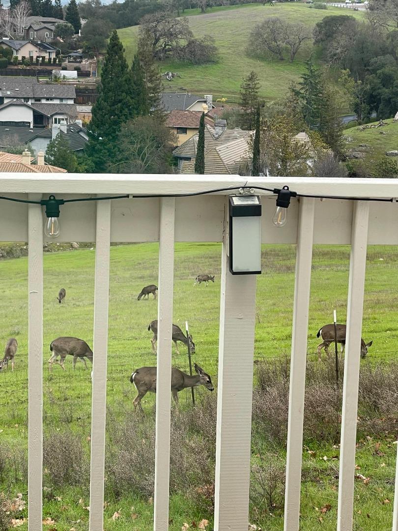 Photo #51: ML82034663 Listing: Photo #51