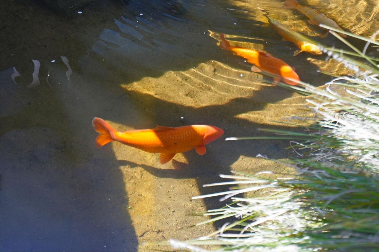 Detail Gallery Image 27 of 27 For 95 Red Rock Way 203m,  San Francisco,  CA 94131 - 0 Beds | 1 Baths