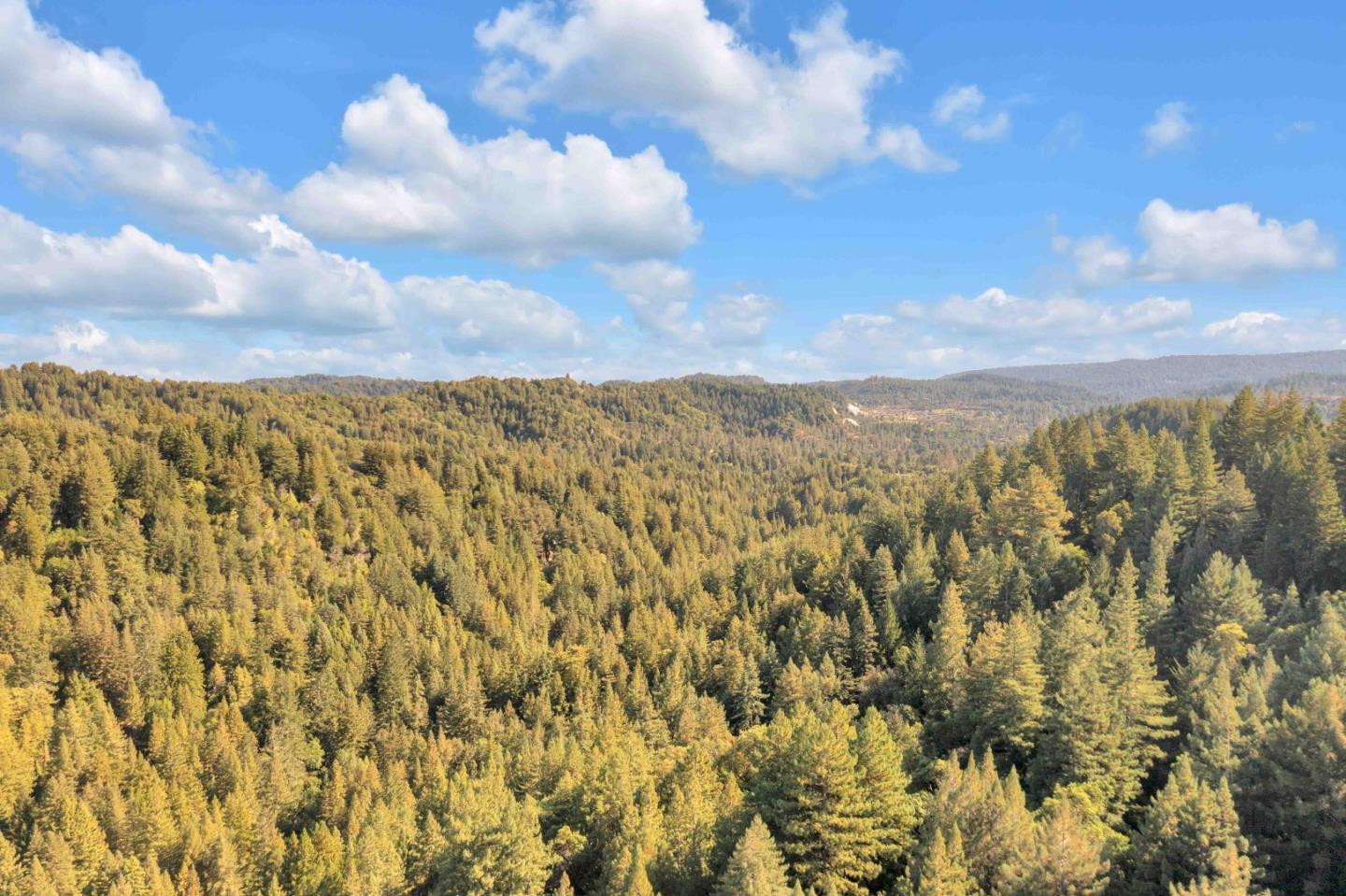 Detail Gallery Image 39 of 47 For 10348 West Dr, Felton,  CA 95018 - 2 Beds | 1/1 Baths