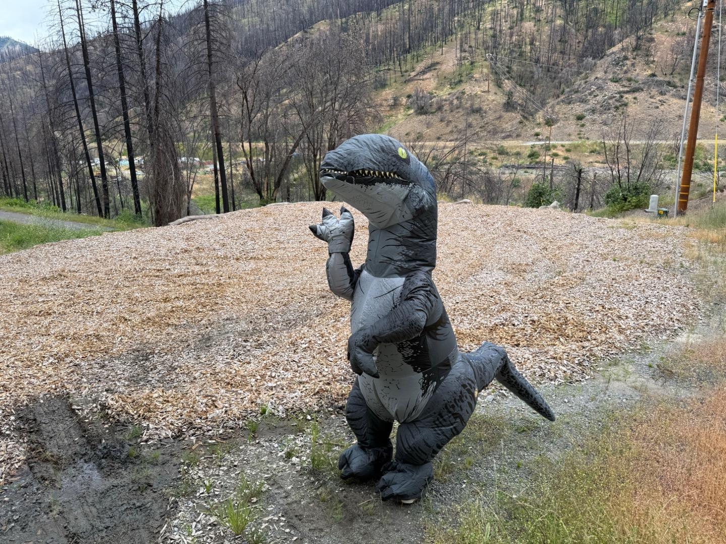 Front Image Thumbnail for ML82034713