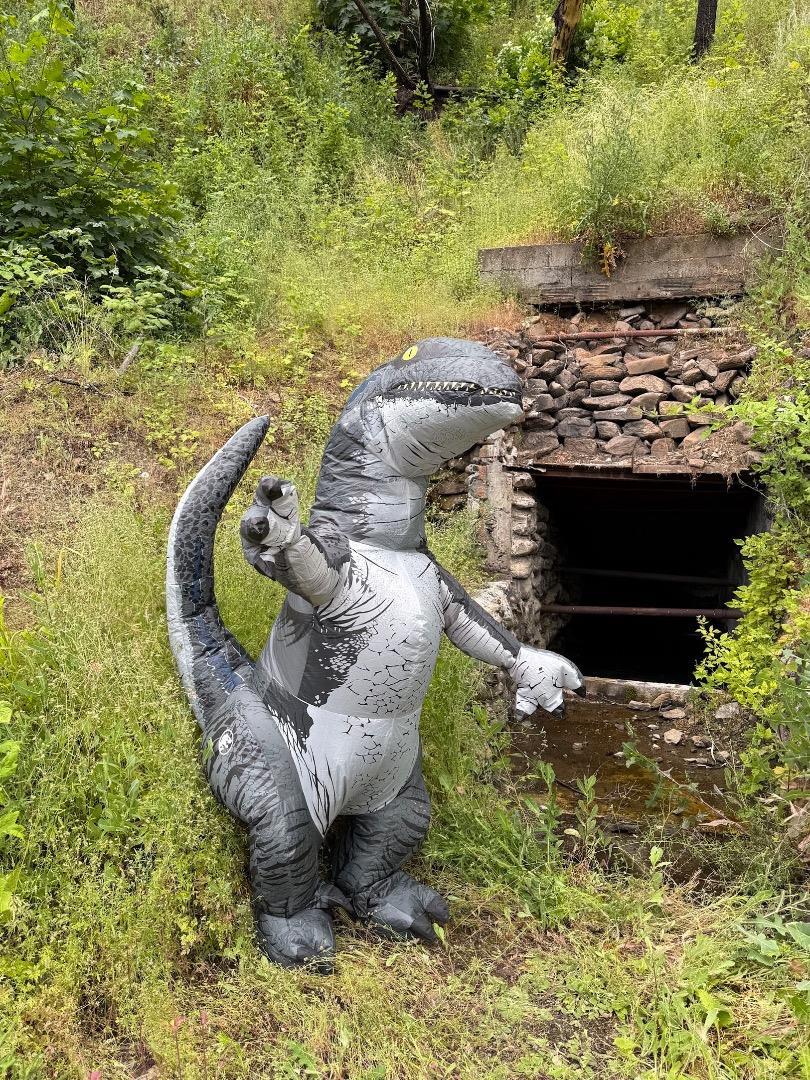 Detail Gallery Image 32 of 40 For 1017 Roxbury Dr, Scott Bar,  CA 96085 - – Beds | – Baths