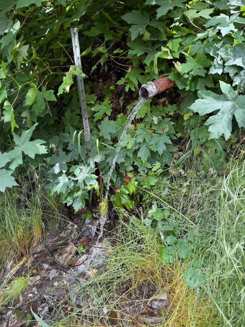 Detail Gallery Image 33 of 40 For 1017 Roxbury Dr, Scott Bar,  CA 96085 - – Beds | – Baths