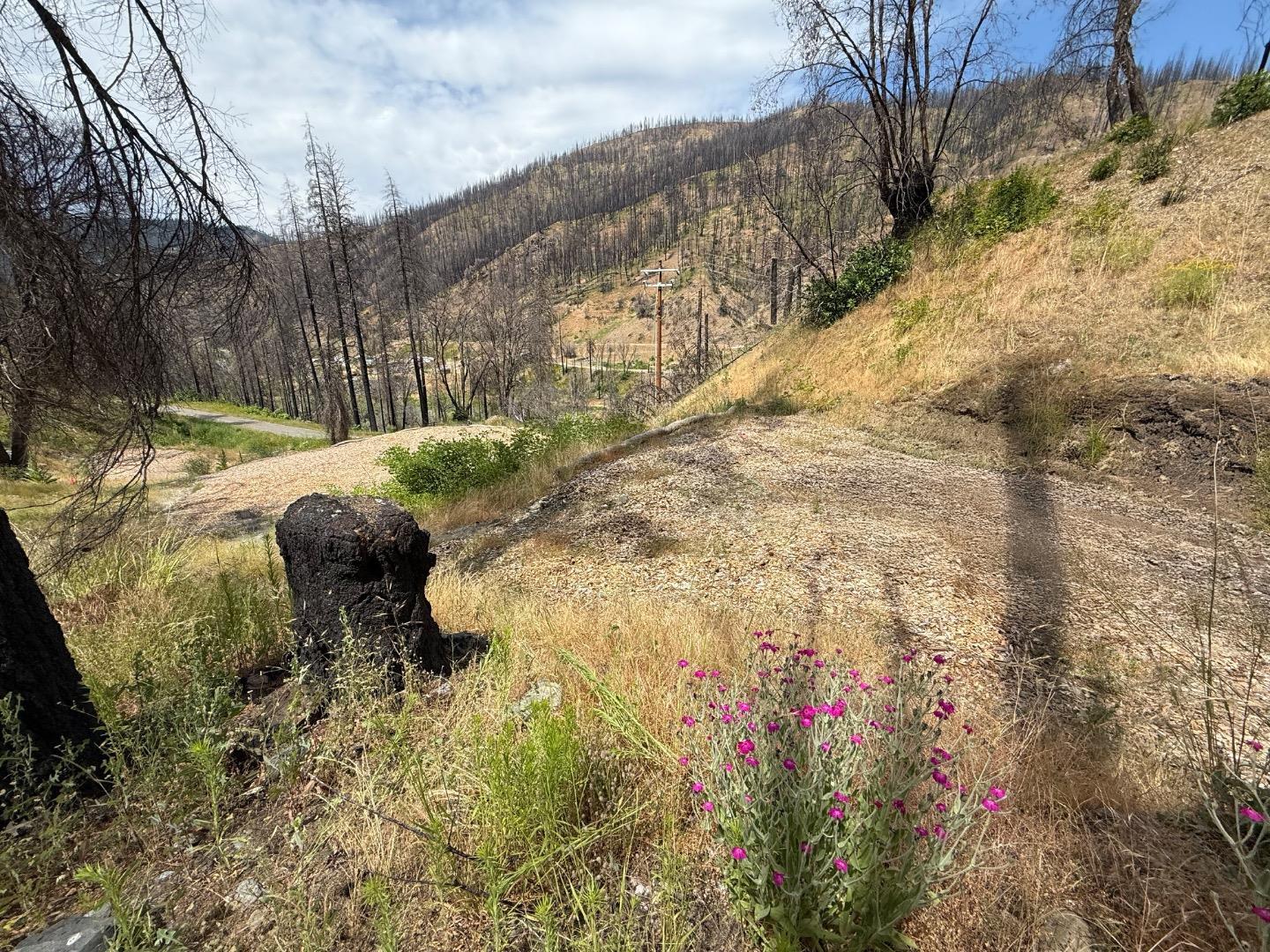 Detail Gallery Image 38 of 40 For 1017 Roxbury Dr, Scott Bar,  CA 96085 - – Beds | – Baths