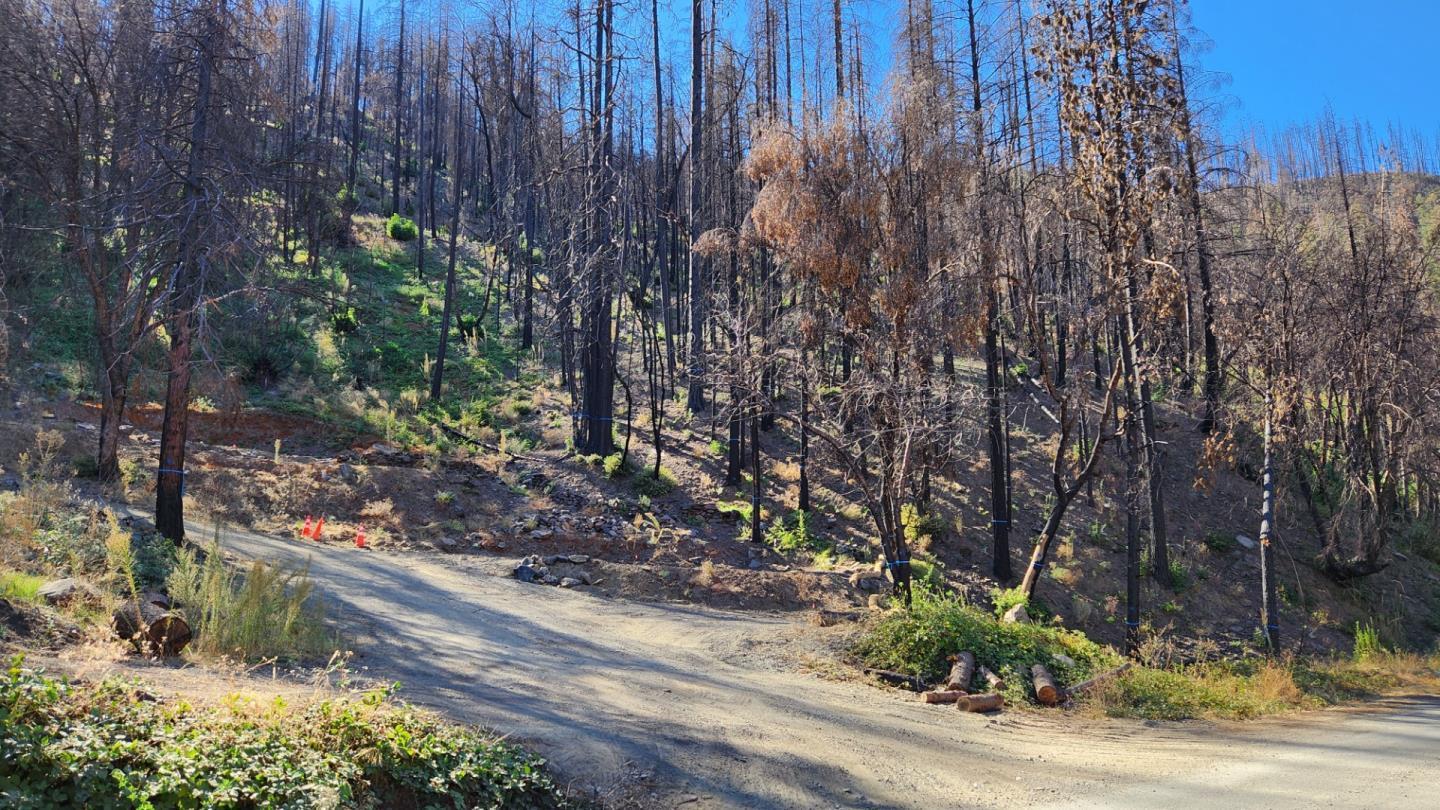 Detail Gallery Image 5 of 40 For 1017 Roxbury Dr, Scott Bar,  CA 96085 - – Beds | – Baths