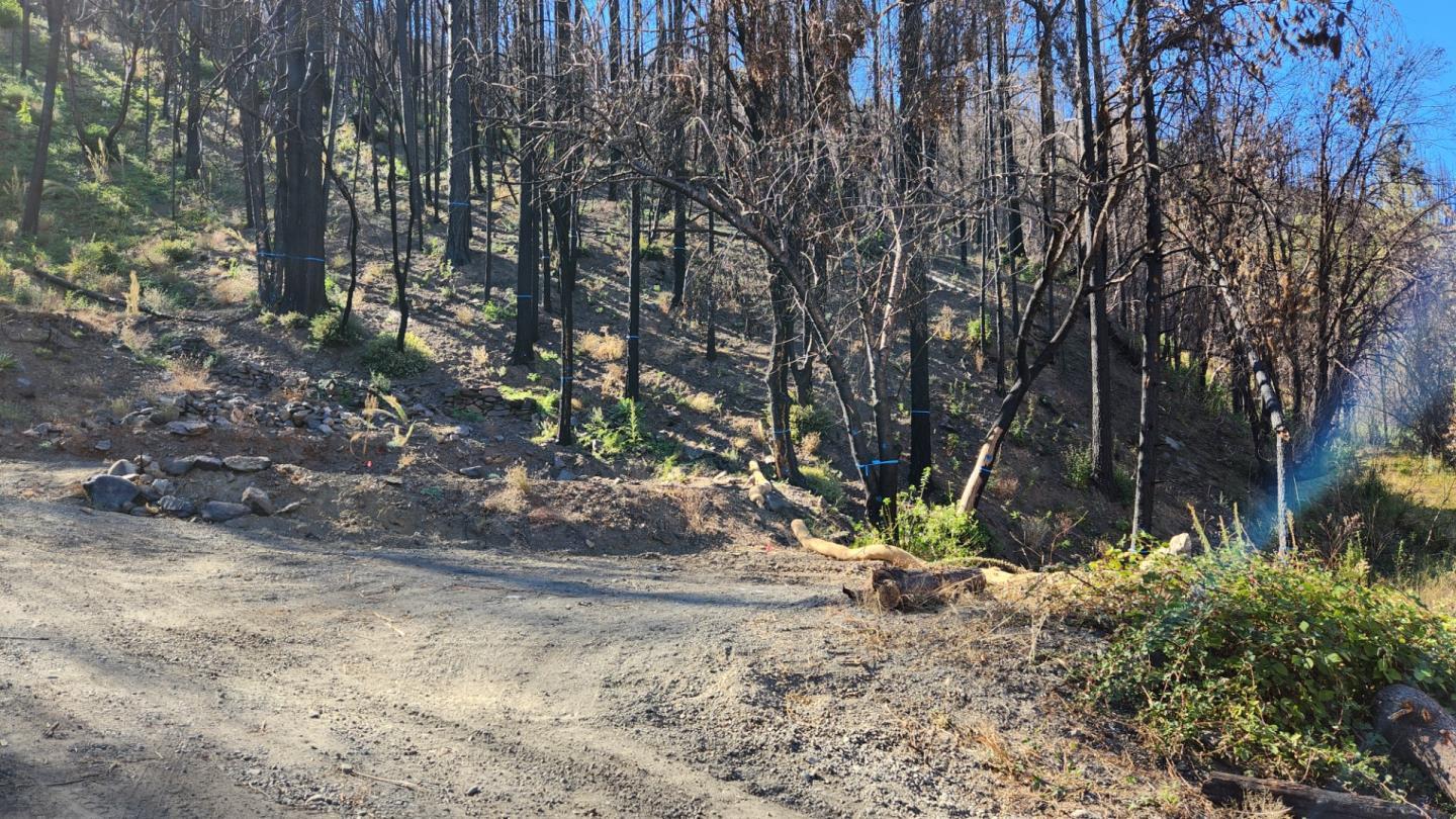 Detail Gallery Image 8 of 40 For 1017 Roxbury Dr, Scott Bar,  CA 96085 - – Beds | – Baths