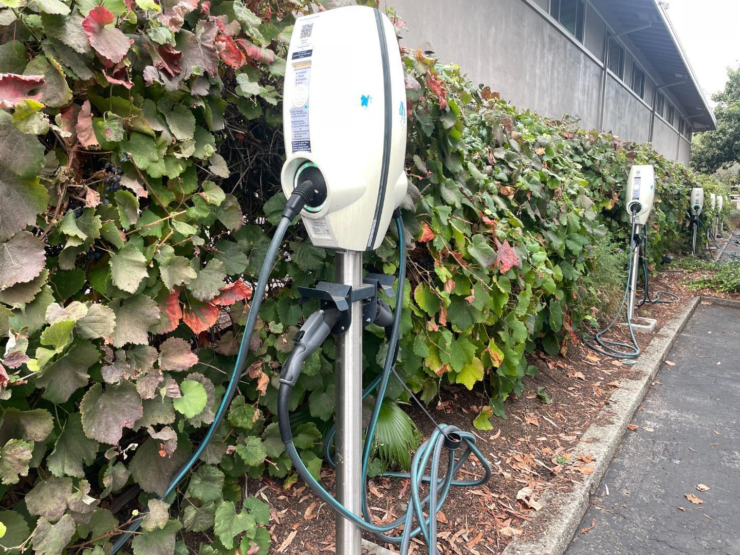 Detail Gallery Image 11 of 12 For 500 W Middlefield Rd #122,  Mountain View,  CA 94043 - 1 Beds | 1 Baths