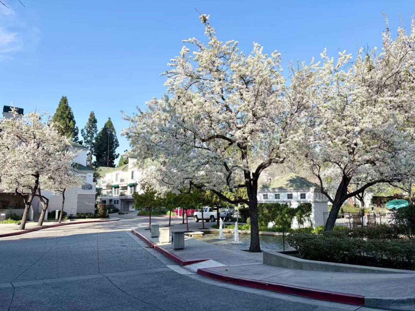 Detail Gallery Image 28 of 31 For 455 Navaro Way #203,  San Jose,  CA 95134 - 2 Beds | 2 Baths