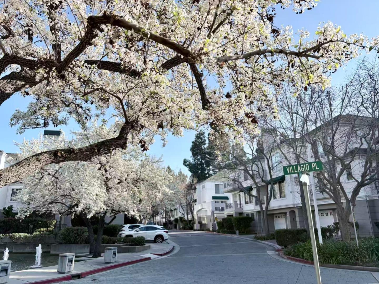 Detail Gallery Image 3 of 31 For 455 Navaro Way #203,  San Jose,  CA 95134 - 2 Beds | 2 Baths