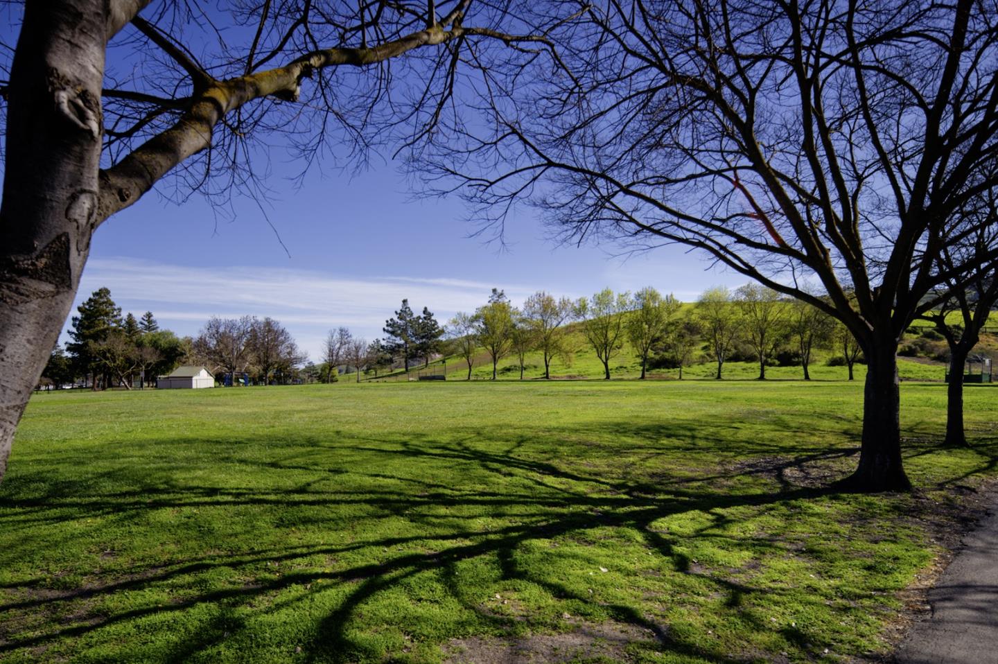 Detail Gallery Image 37 of 39 For 446 Allegan Cir, San Jose,  CA 95123 - 3 Beds | 2 Baths