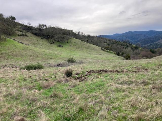 Detail Gallery Image 10 of 17 For 0 Cachagua Rd, Carmel Valley,  CA 93924 - – Beds | – Baths