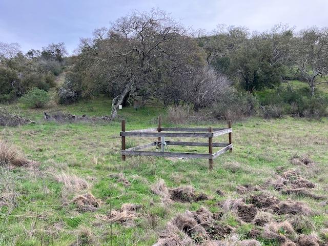 Detail Gallery Image 14 of 17 For 0 Cachagua Rd, Carmel Valley,  CA 93924 - – Beds | – Baths