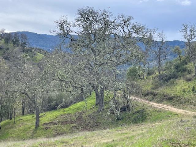 Detail Gallery Image 3 of 17 For 0 Cachagua Rd, Carmel Valley,  CA 93924 - – Beds | – Baths