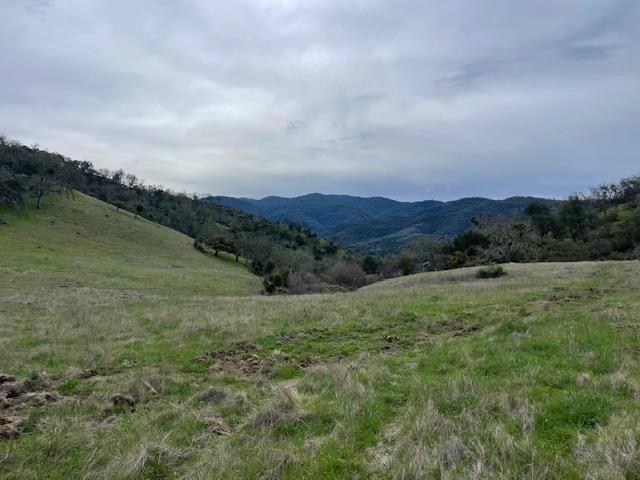 Detail Gallery Image 8 of 17 For 0 Cachagua Rd, Carmel Valley,  CA 93924 - – Beds | – Baths