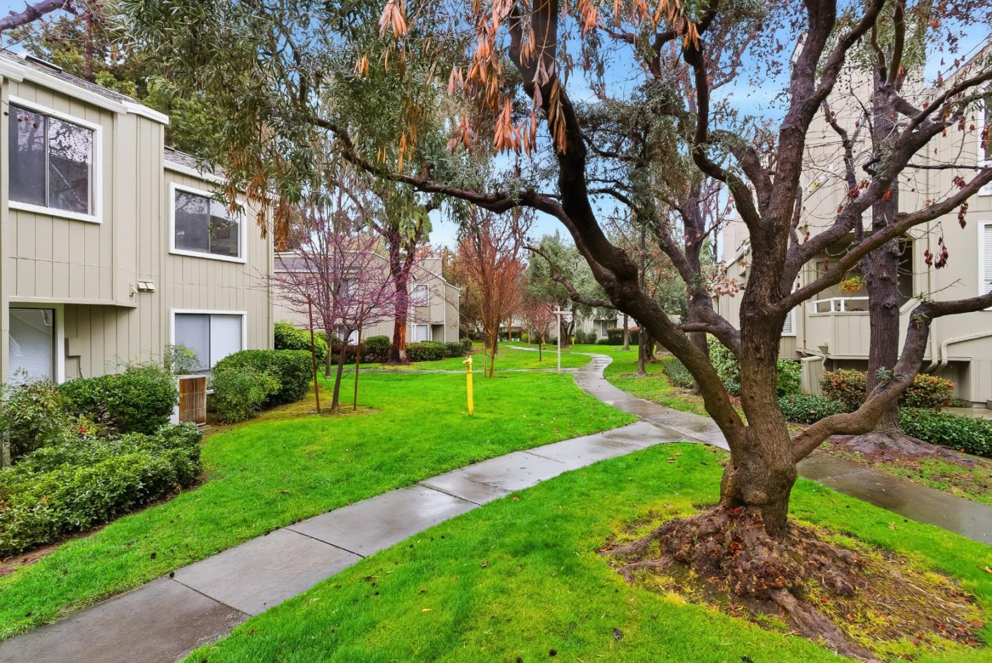 Detail Gallery Image 40 of 46 For 1690 Braddock Ct, San Jose,  CA 95125 - 2 Beds | 2 Baths