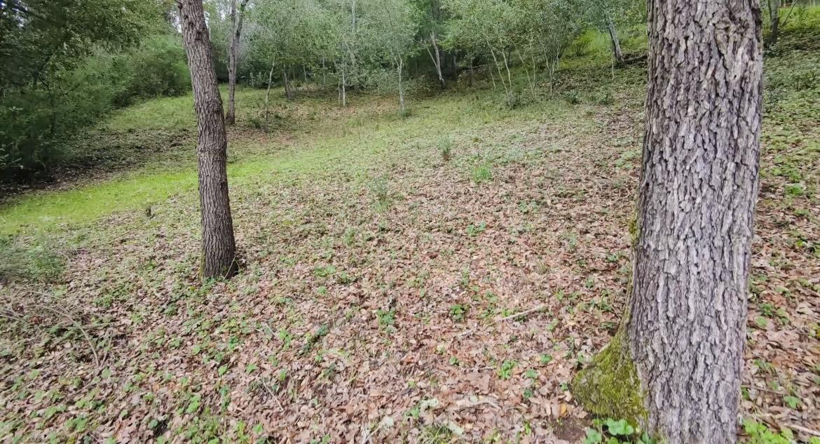 Detail Gallery Image 3 of 6 For 15971 Forest Hill Dr, Boulder Creek,  CA 95006 - – Beds | – Baths