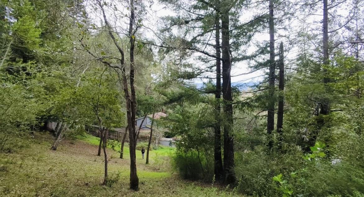 Detail Gallery Image 4 of 6 For 15971 Forest Hill Dr, Boulder Creek,  CA 95006 - – Beds | – Baths