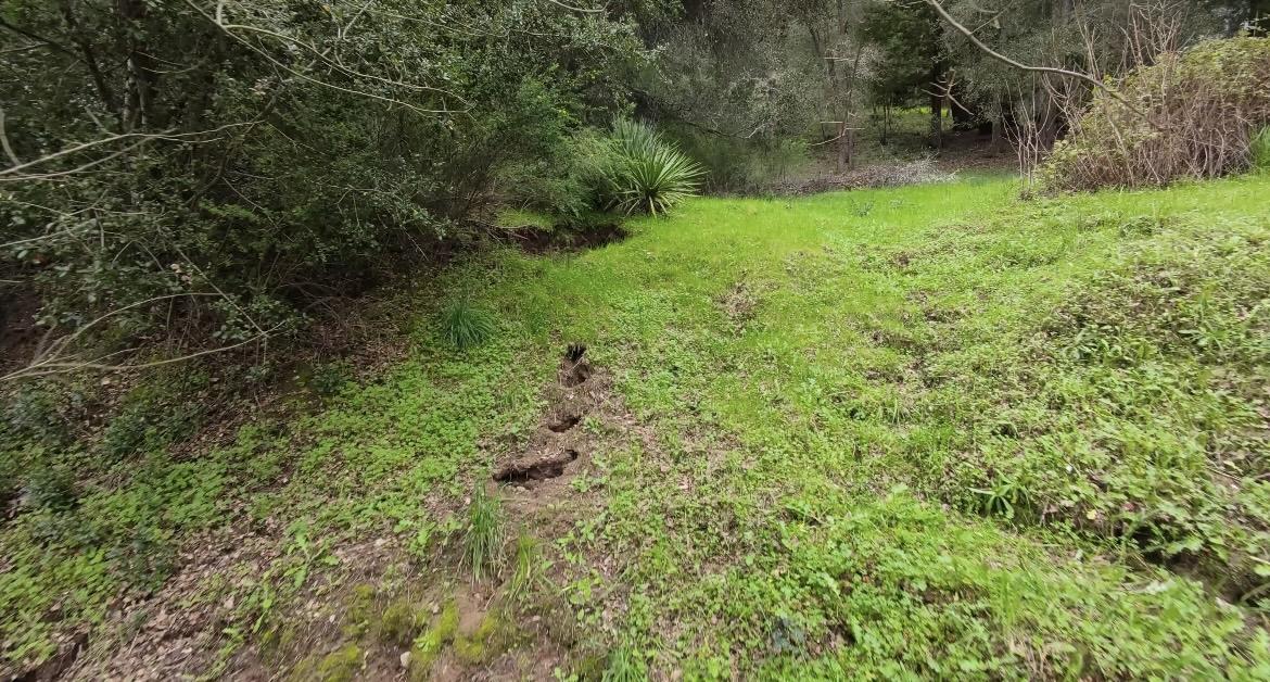 Detail Gallery Image 6 of 6 For 15971 Forest Hill Dr, Boulder Creek,  CA 95006 - – Beds | – Baths