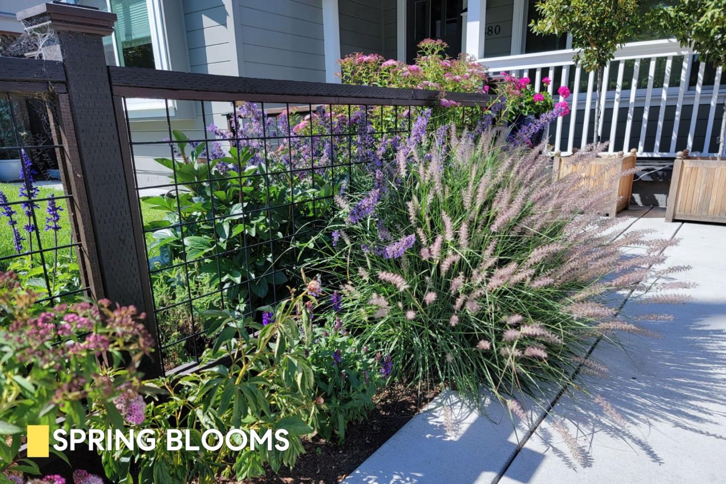 Detail Gallery Image 27 of 40 For 380 San Carlos Ave, Redwood City,  CA 94061 - 3 Beds | 2 Baths