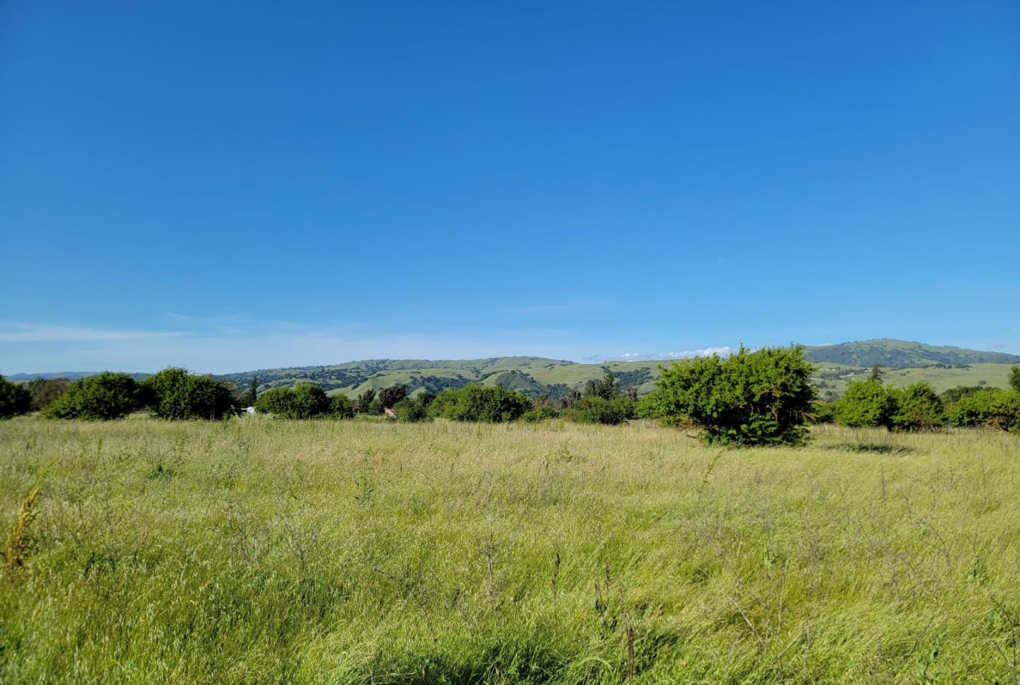 Detail Gallery Image 2 of 52 For 14200 Sycamore Ave, San Martin,  CA 95046 - 2 Beds | 1/1 Baths