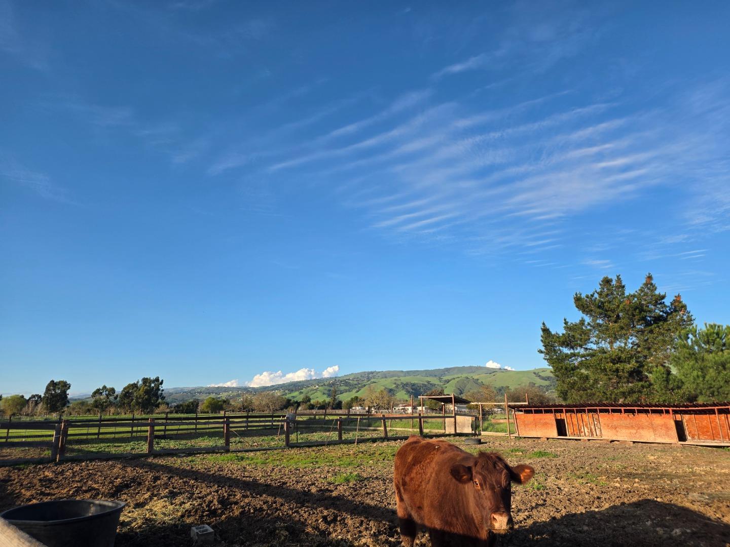 Detail Gallery Image 22 of 52 For 14200 Sycamore Ave, San Martin,  CA 95046 - 2 Beds | 1/1 Baths