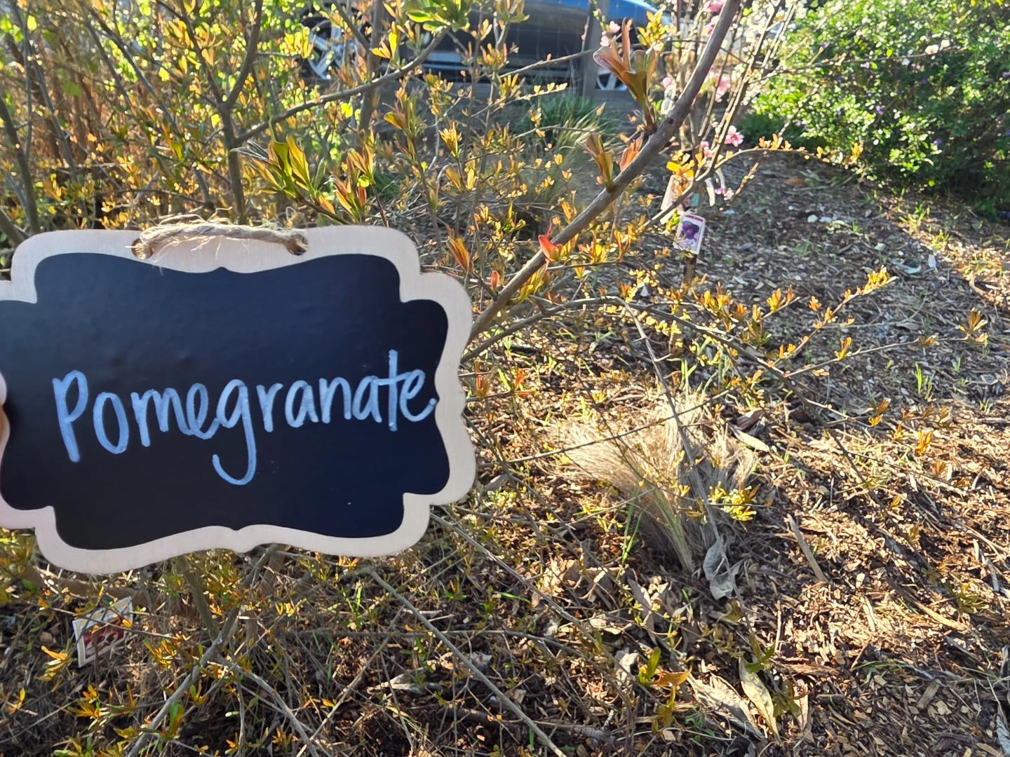 Detail Gallery Image 30 of 52 For 14200 Sycamore Ave, San Martin,  CA 95046 - 2 Beds | 1/1 Baths