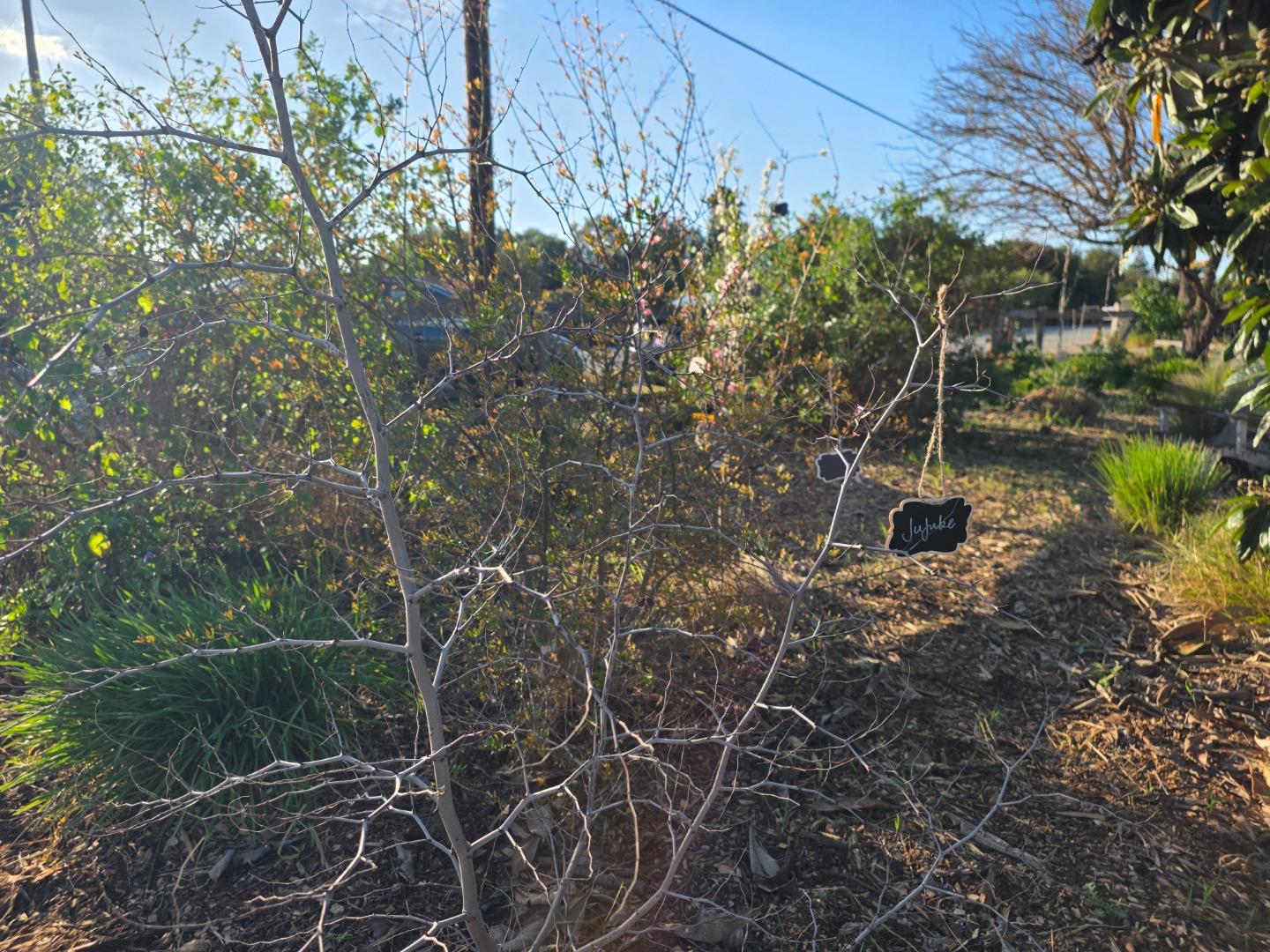Detail Gallery Image 33 of 52 For 14200 Sycamore Ave, San Martin,  CA 95046 - 2 Beds | 1/1 Baths