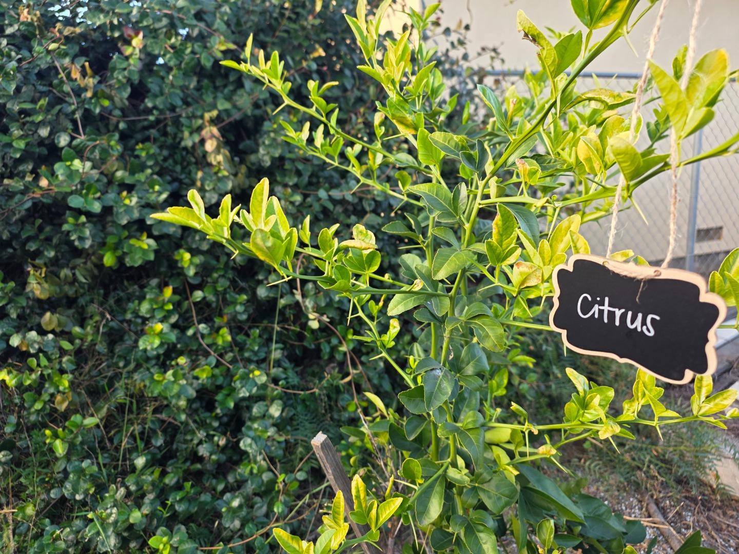 Detail Gallery Image 35 of 52 For 14200 Sycamore Ave, San Martin,  CA 95046 - 2 Beds | 1/1 Baths