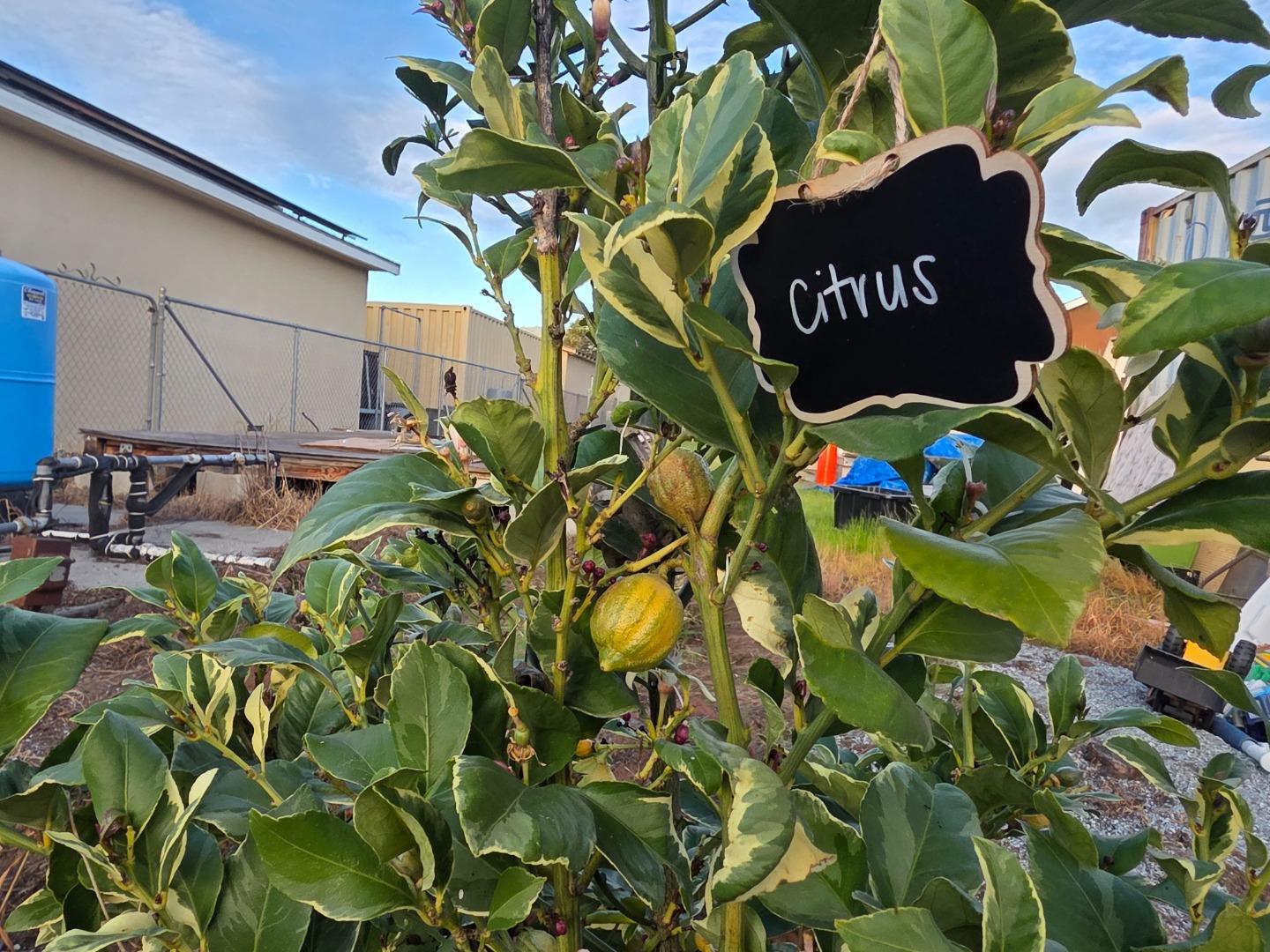 Detail Gallery Image 37 of 52 For 14200 Sycamore Ave, San Martin,  CA 95046 - 2 Beds | 1/1 Baths