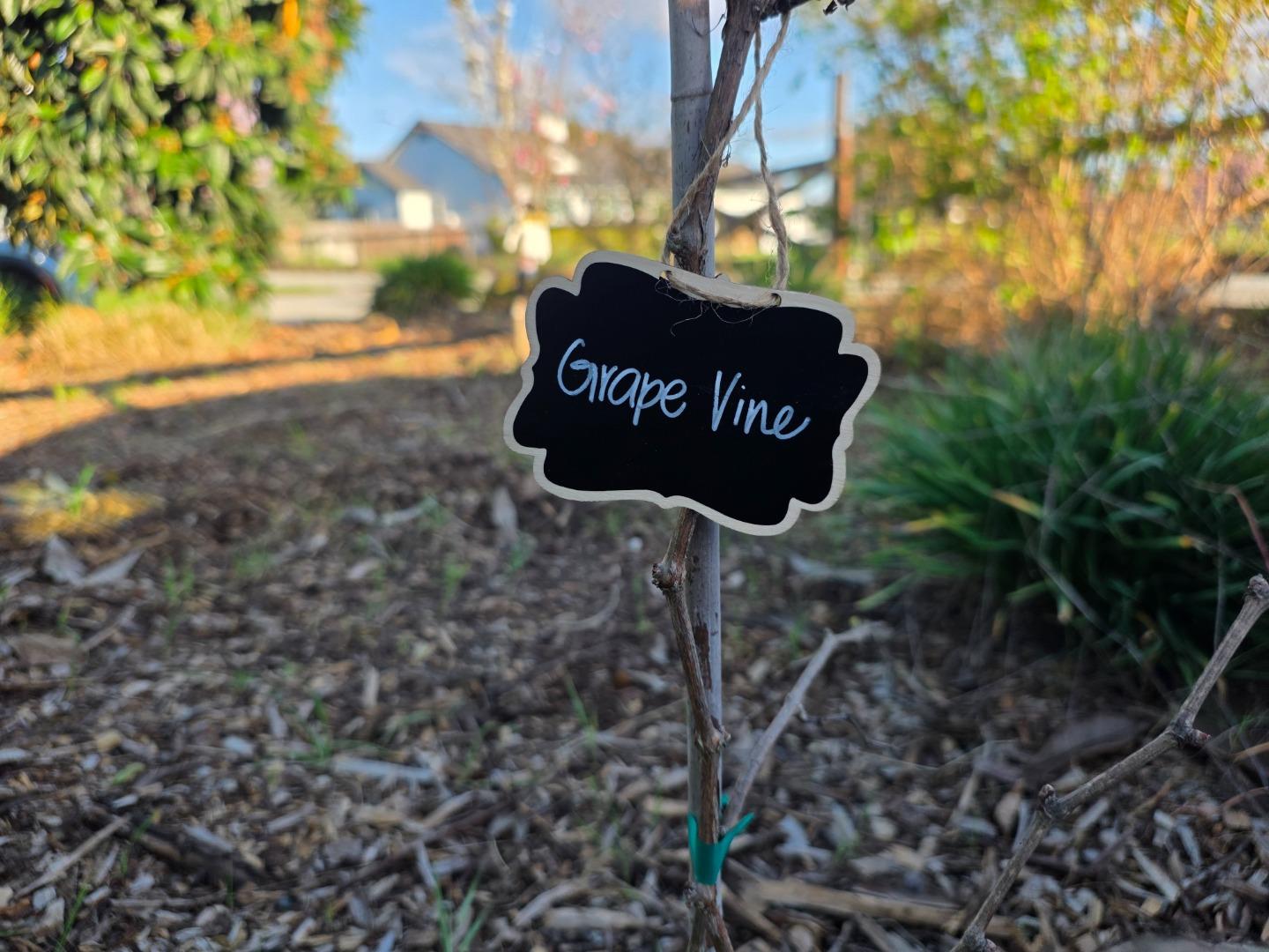 Detail Gallery Image 38 of 52 For 14200 Sycamore Ave, San Martin,  CA 95046 - 2 Beds | 1/1 Baths