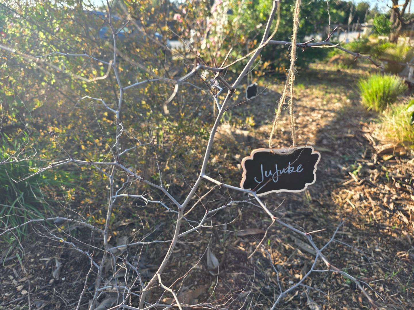 Detail Gallery Image 40 of 52 For 14200 Sycamore Ave, San Martin,  CA 95046 - 2 Beds | 1/1 Baths