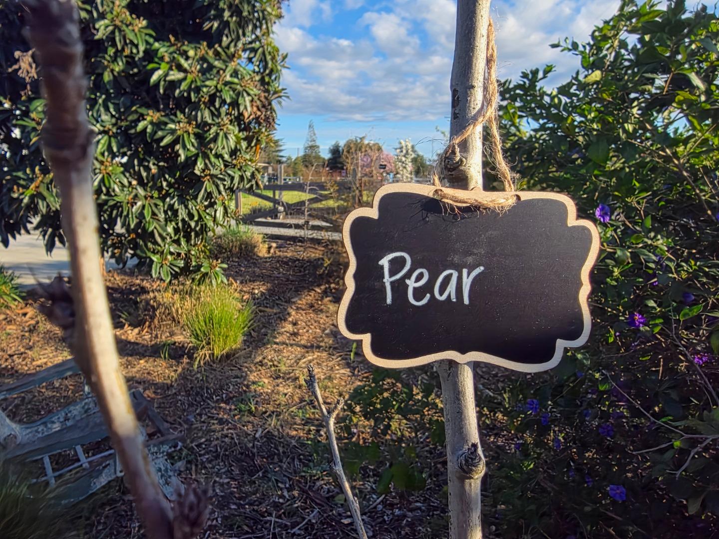 Detail Gallery Image 41 of 52 For 14200 Sycamore Ave, San Martin,  CA 95046 - 2 Beds | 1/1 Baths