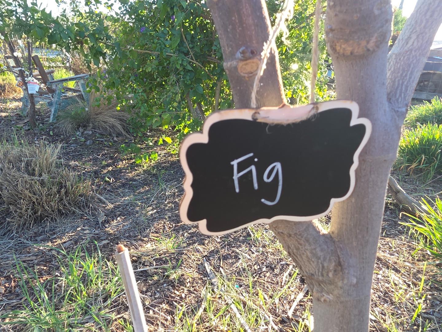 Detail Gallery Image 43 of 52 For 14200 Sycamore Ave, San Martin,  CA 95046 - 2 Beds | 1/1 Baths