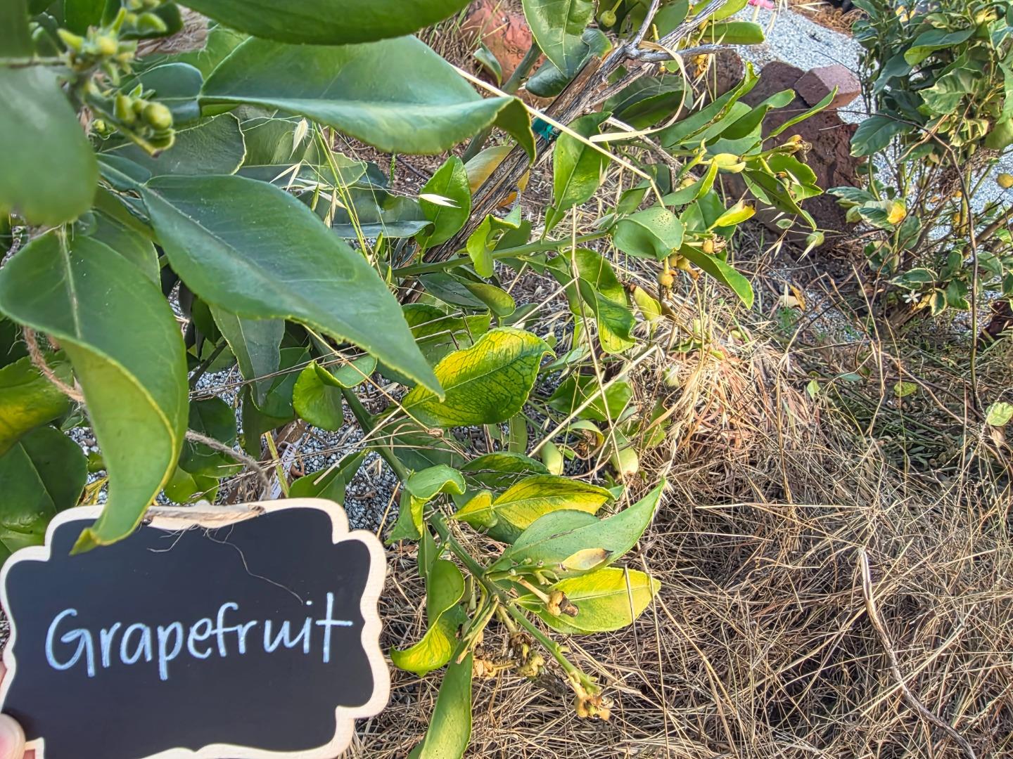 Detail Gallery Image 46 of 52 For 14200 Sycamore Ave, San Martin,  CA 95046 - 2 Beds | 1/1 Baths